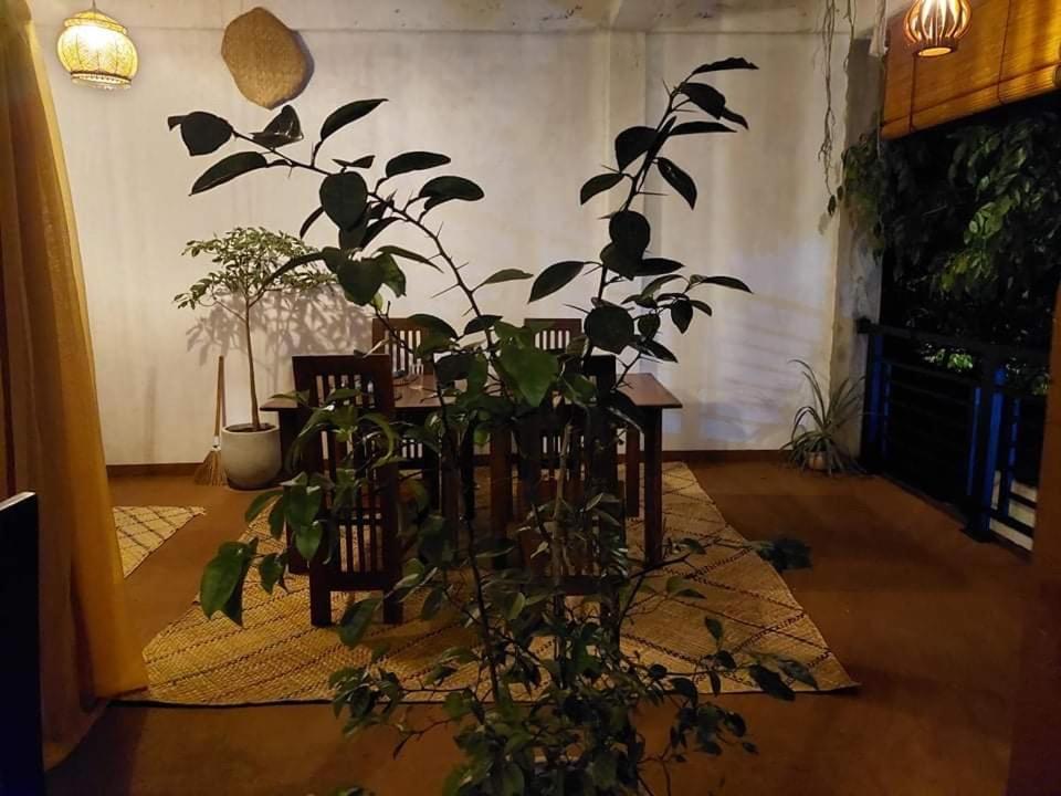 Kingcity Resort Anuradhapura Εξωτερικό φωτογραφία